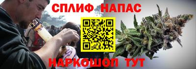 mdpv Обнинск