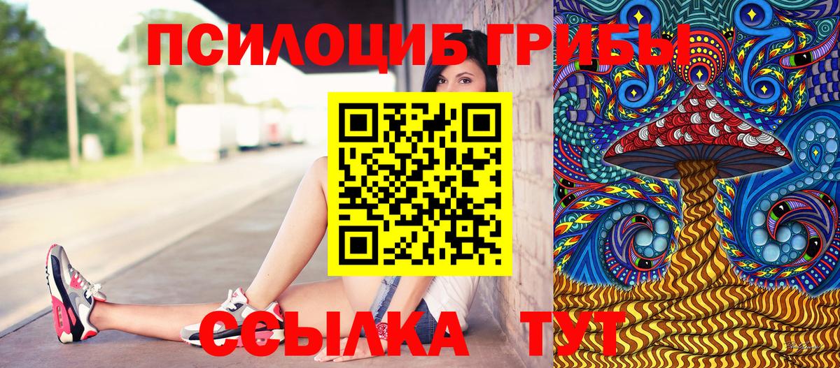 Саранск  Галлюциногенные грибы Psilocybine cubensis  Вход с VPN 